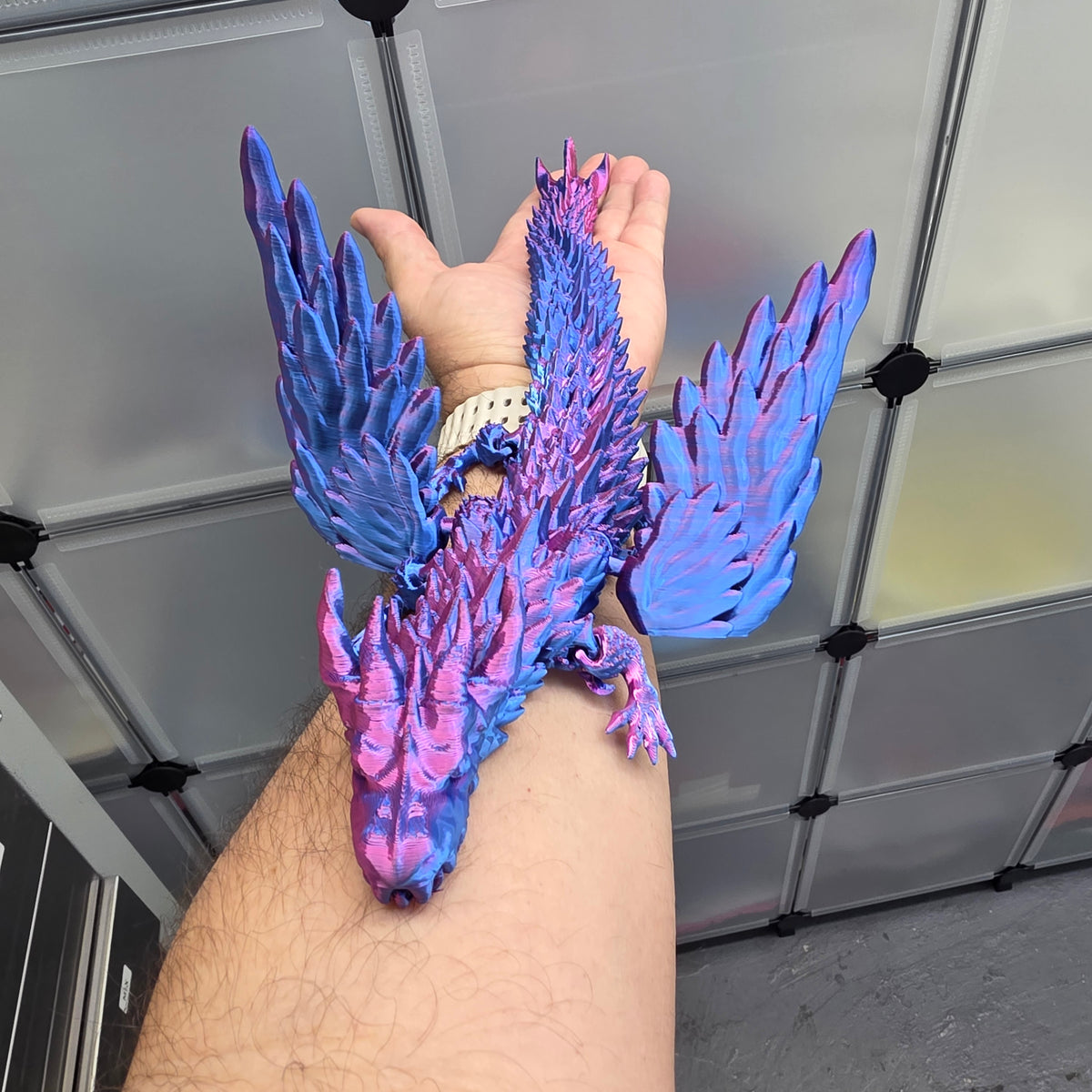Draconic 15 Wins 3D Print