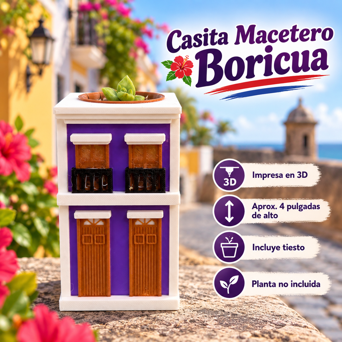 🏠🌺 Casita Macetero Boricua impresa en 3D 🌺🏠