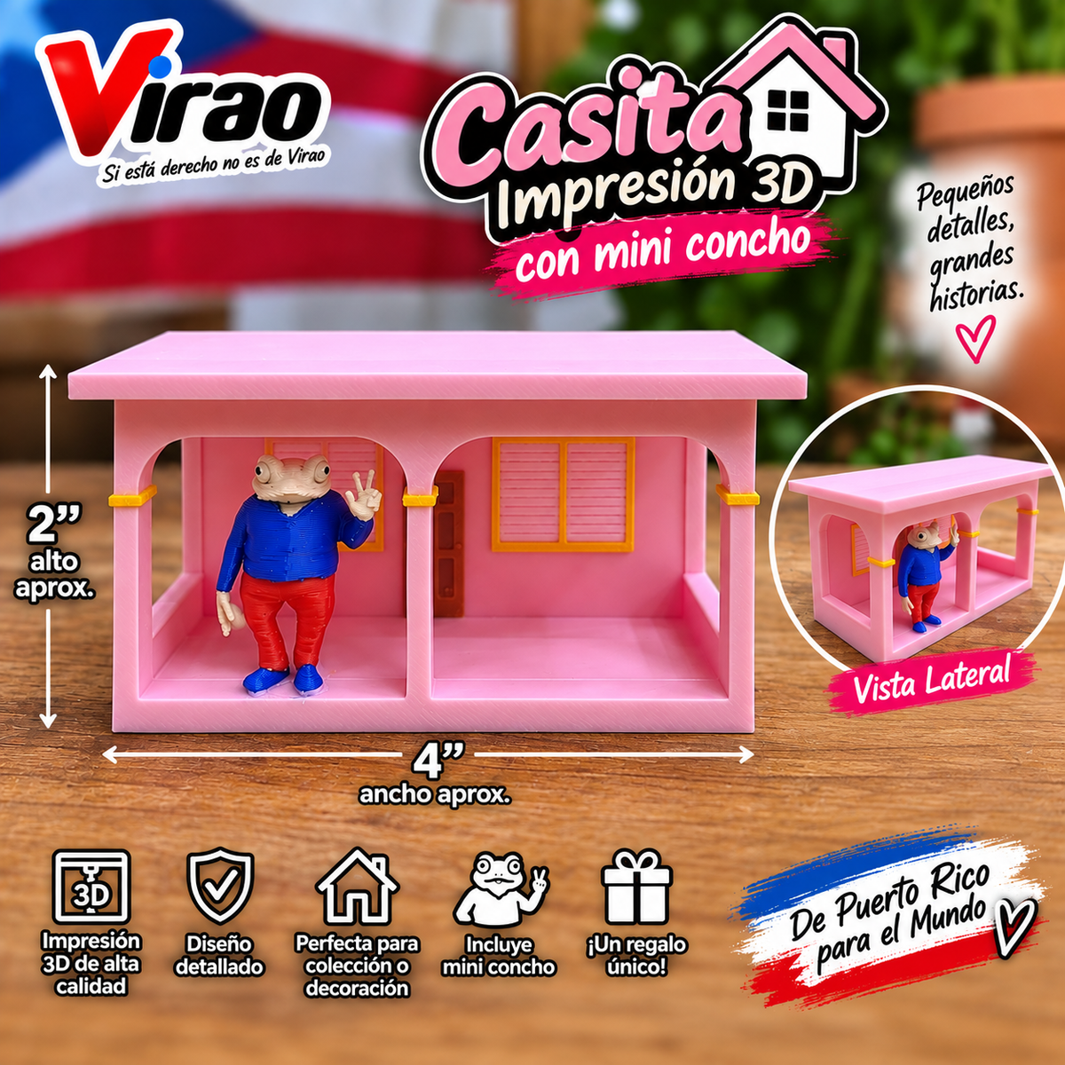 Casita Boricua con Mini Concho