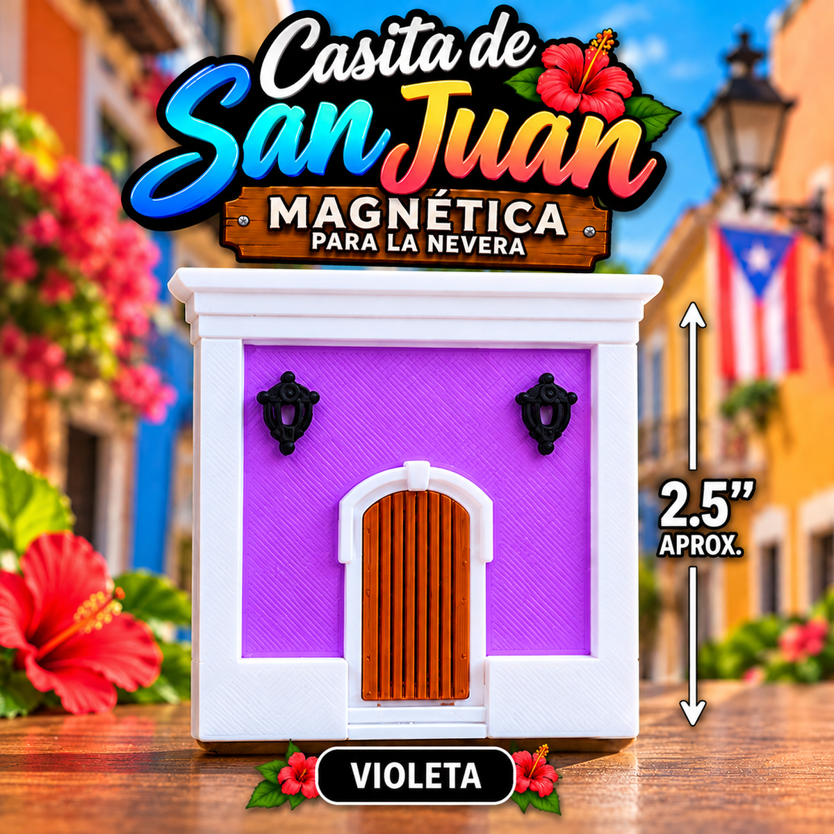 Casita de San Juan Magneto S1