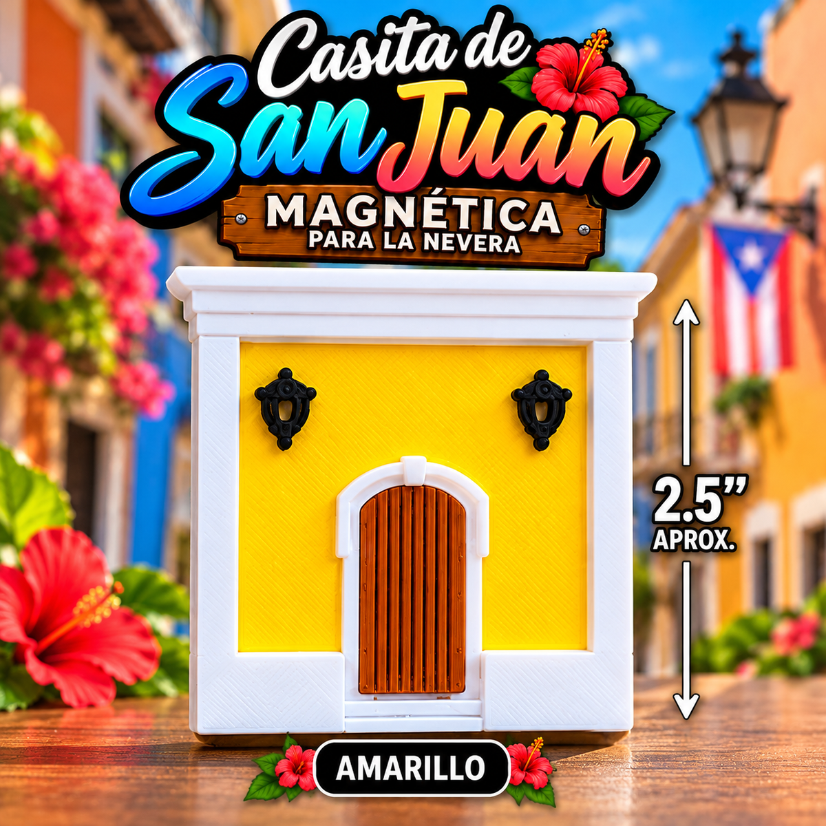 Casita de San Juan Magneto S1