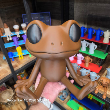El Coqui